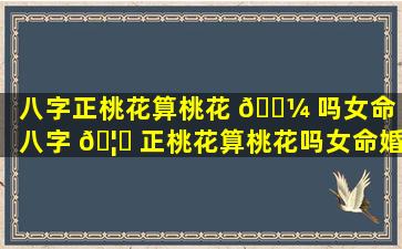 八字正桃花算桃花 🌼 吗女命（八字 🦁 正桃花算桃花吗女命婚姻）